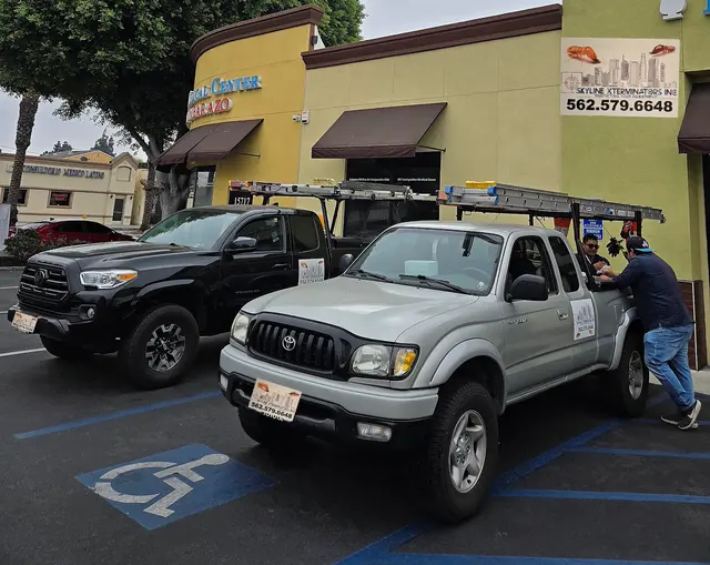 Skyline Xterminators Inc — photo from the business 10