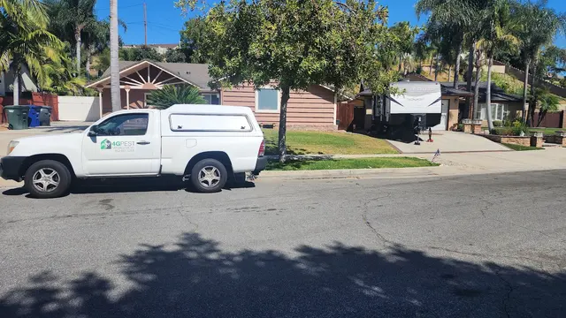 4G PEST MANAGEMENT — photo from the business 2