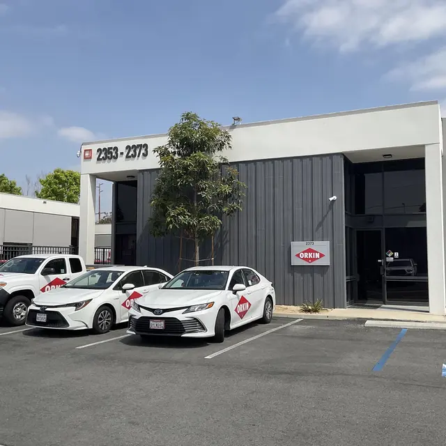 Orkin — photo from the business 6