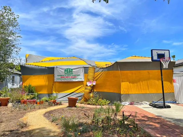 Pest Solutions Termite & Pest Control — photo from the business 6