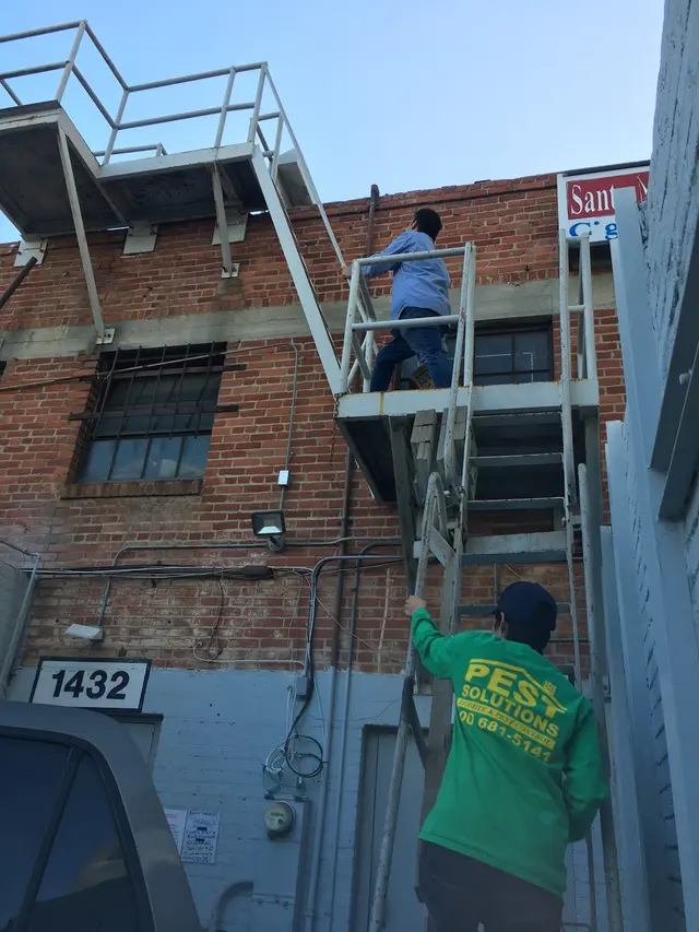 Pest Solutions Termite & Pest Control — photo from the business 10
