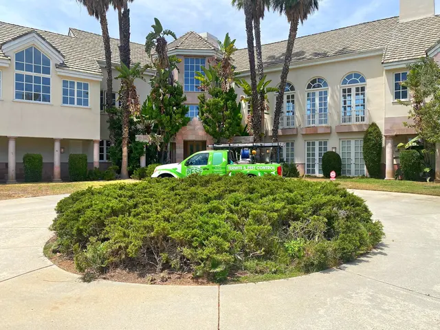 Pest Solutions Termite & Pest Control — photo from the business 11