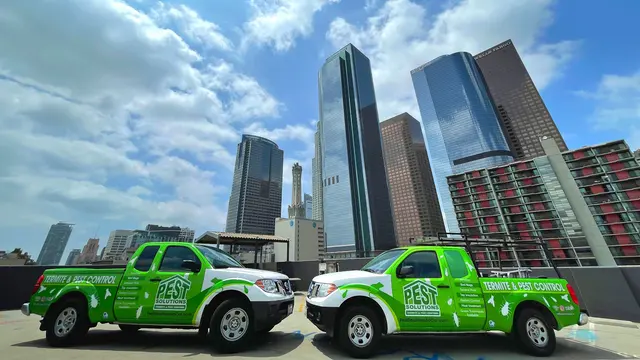 Pest Solutions Termite & Pest Control — photo from the business 1