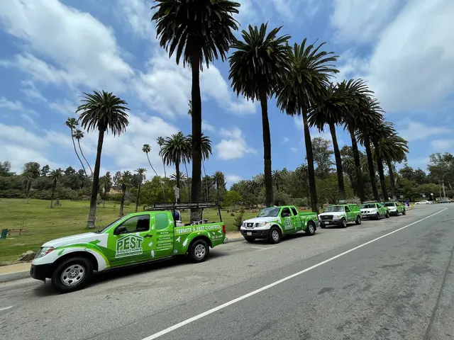 Pest Solutions Termite & Pest Control — photo from the business 5