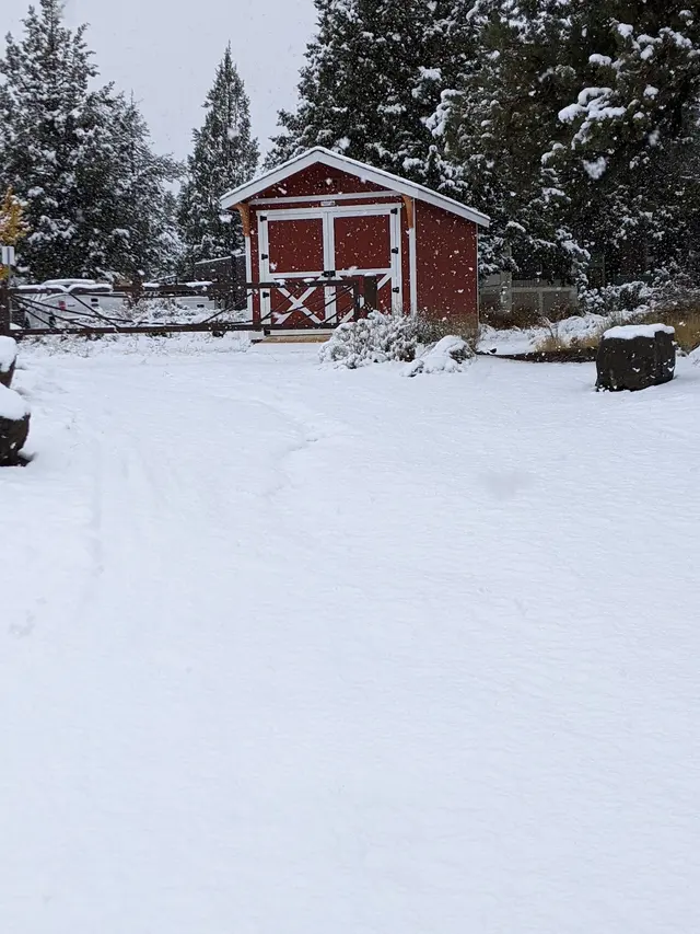 Tamarack Sheds — customer photo 11