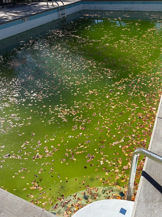 Neptune Pools — customer photo 5