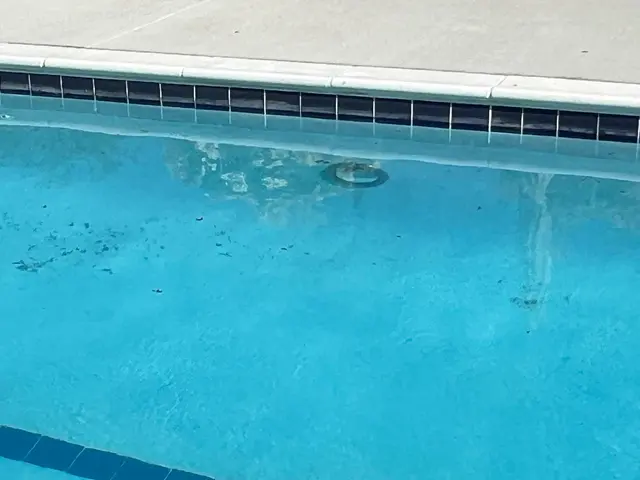 Neptune Pools — customer photo 9
