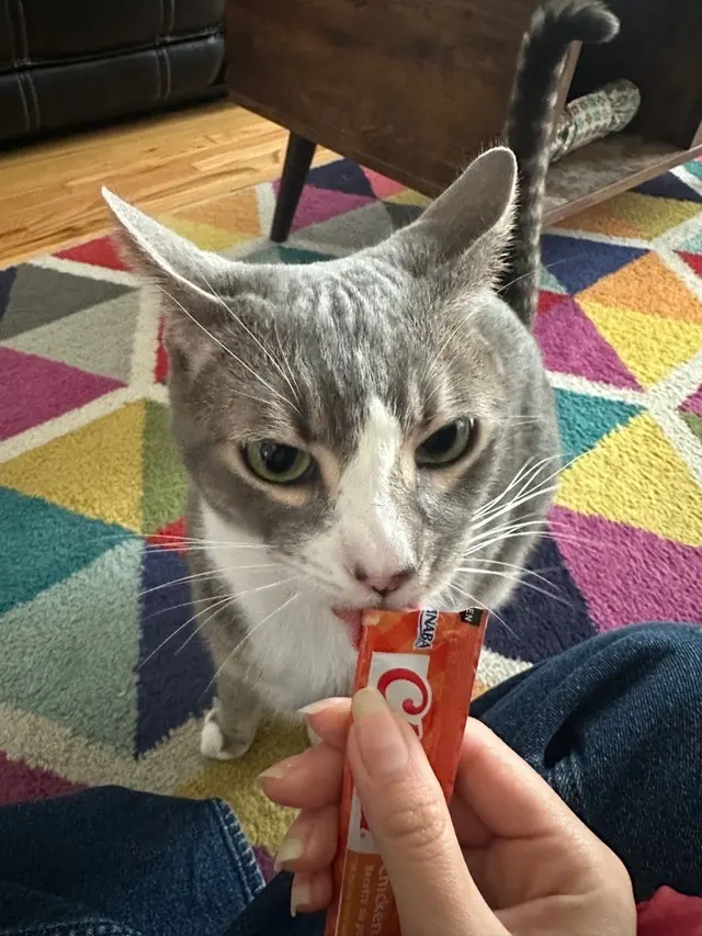 Sitter4Paws — customer photo 11