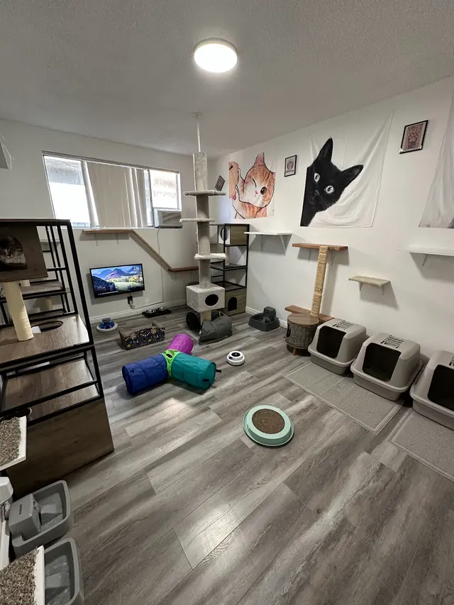 Charlie’s Pet Services — photo from the business 3