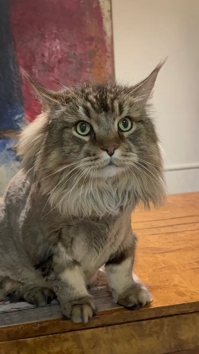 Charlie’s Pet Services — photo from the business 9