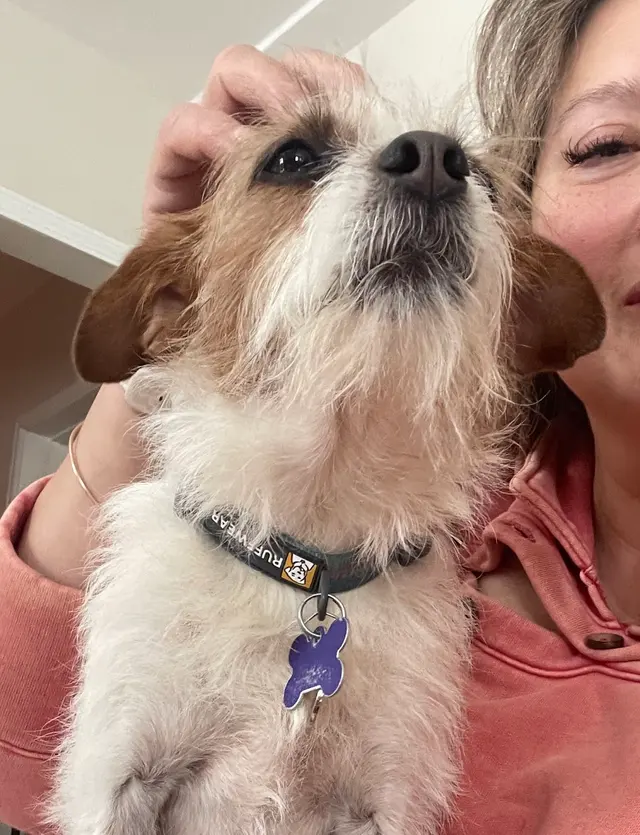 Happy Heart Pet Care — customer photo 2