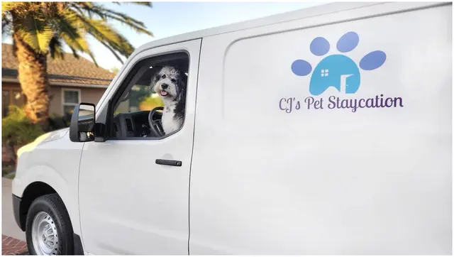 CJs Pet Staycation — photo from the business 1