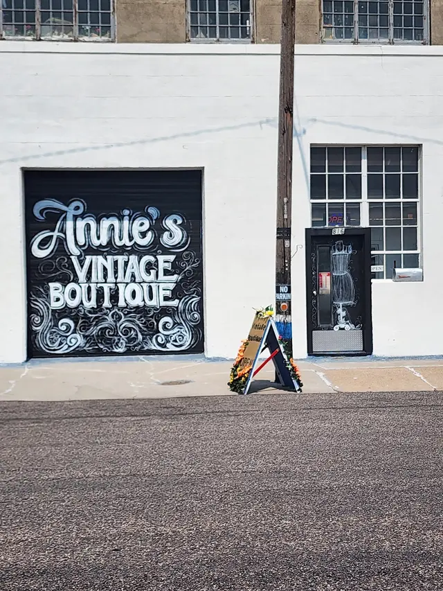 Annie Halls Vintage Boutique — photo from the business 1