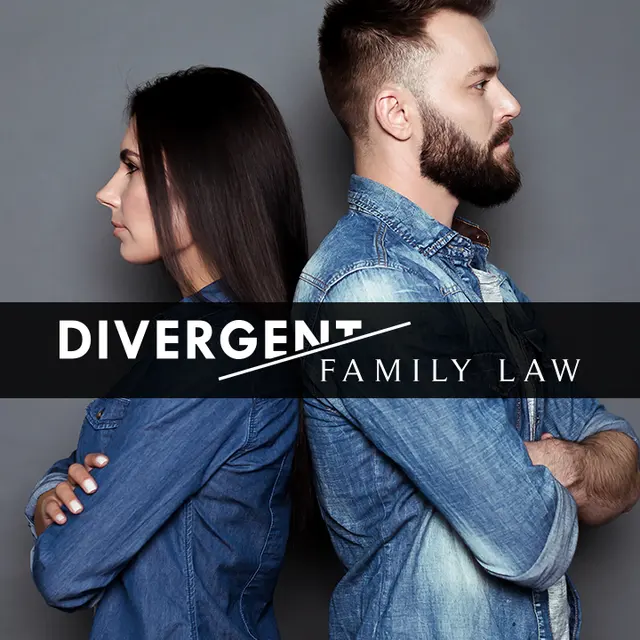 Divergent Family Law — photo from the business 5