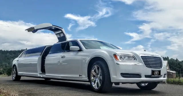 Platinum Limousine LLC — photo from the business 1