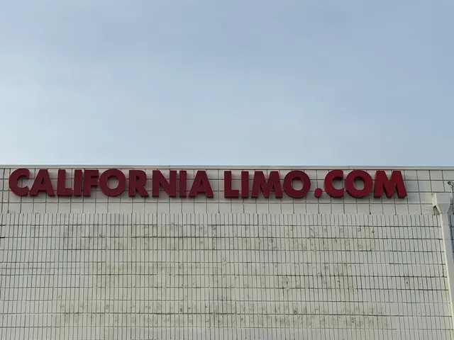 CALIFORNIA LIMO — photo from the business 12