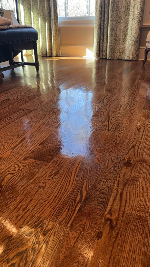 Busy Beez Cleaning — photo from the business 6