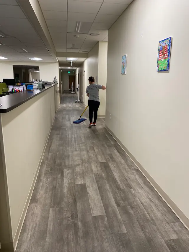 VIP Master Cleaning LLC - Janitorial cleaning services in Greenville sc — photo from the business 2