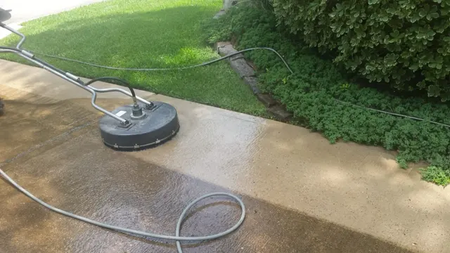 Palmetto Can Cleaning — photo from the business 4