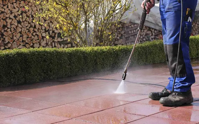 Palmetto Can Cleaning — photo from the business 3
