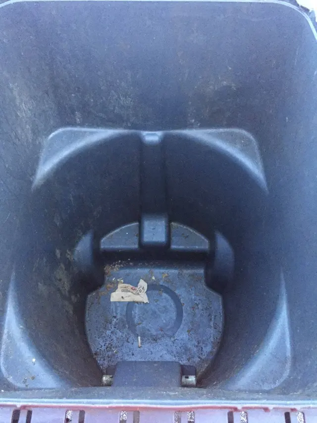 Palmetto Can Cleaning — customer photo 5