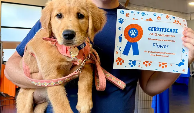 Zoom Room Dog Training — customer photo 10