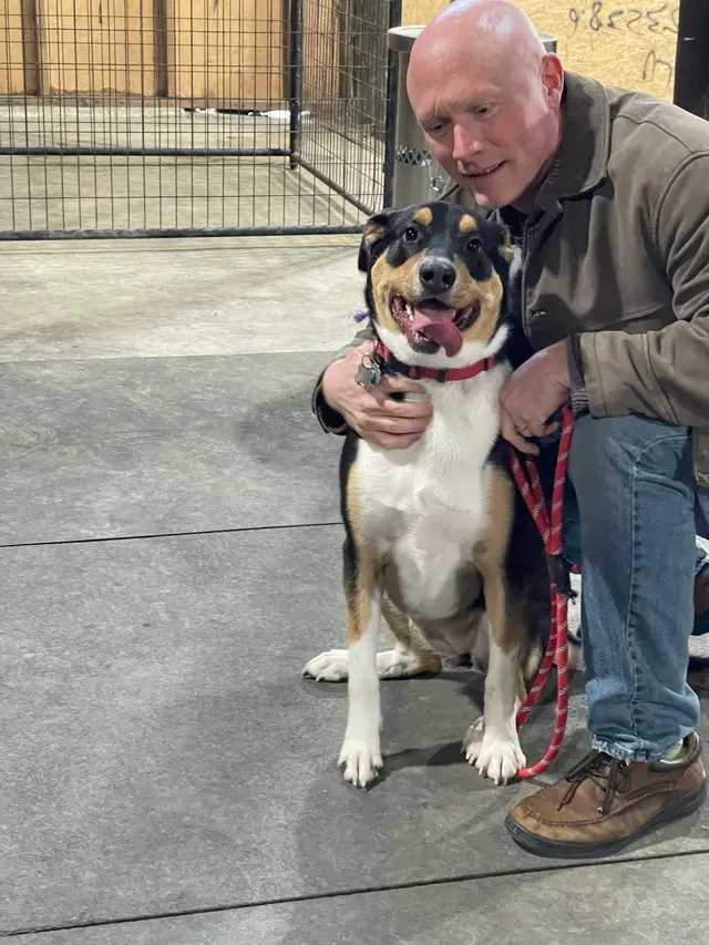 Timeless K9 Boarding And Training — photo from the business 8