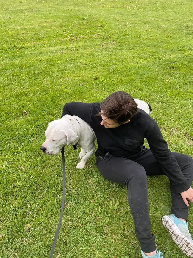 Timeless K9 Boarding And Training — photo from the business 10