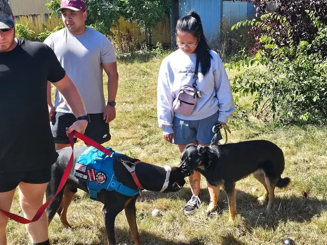 Canine Training Services — customer photo 2