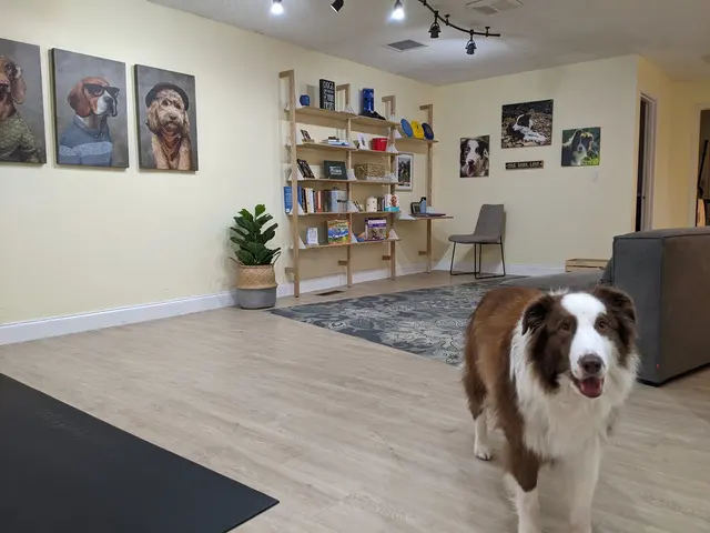 Sound Dog Connection — photo from the business 7