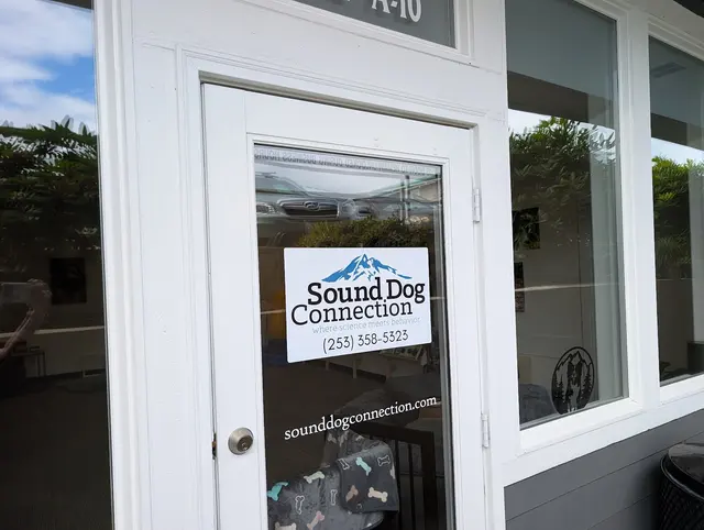 Sound Dog Connection — photo from the business 11