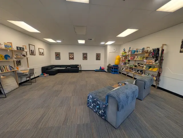 Sound Dog Connection — photo from the business 3