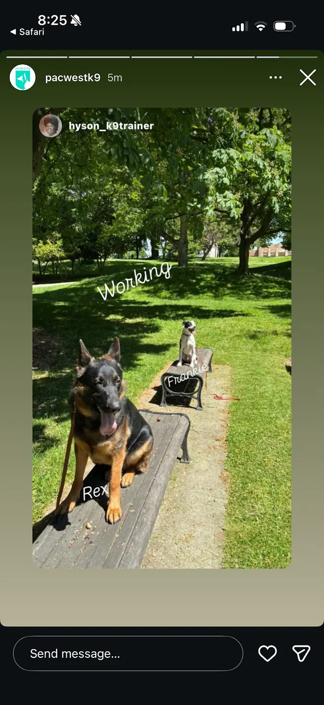 PacwestK9 — customer photo 9