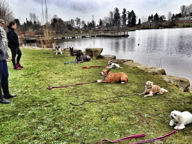 PacwestK9 — photo from the business 1