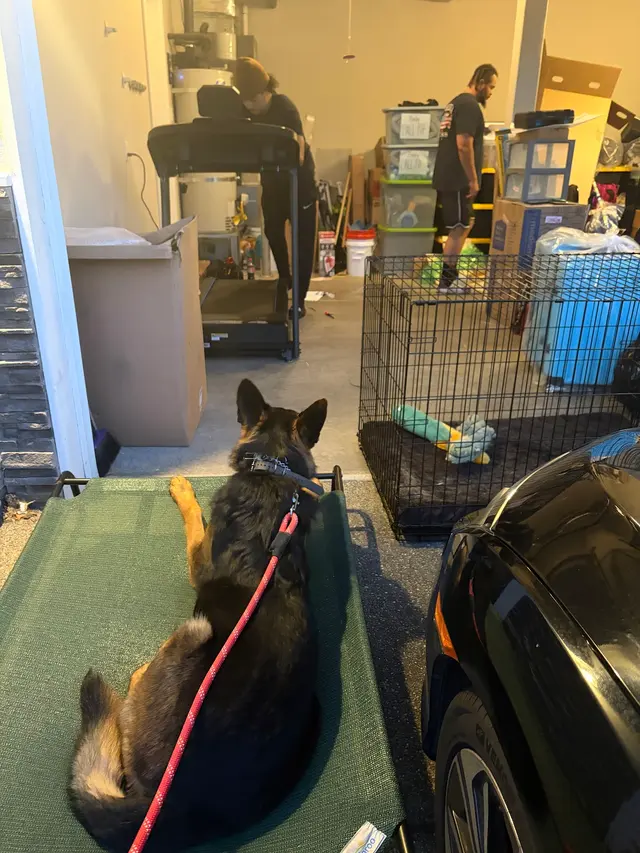 PacwestK9 — customer photo 6