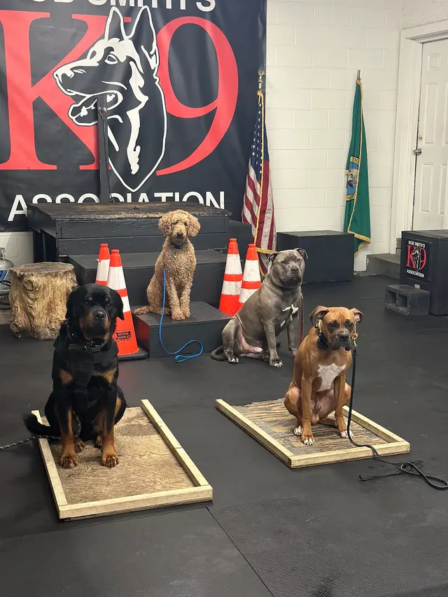 Bob Smith's K9 Association — customer photo 10