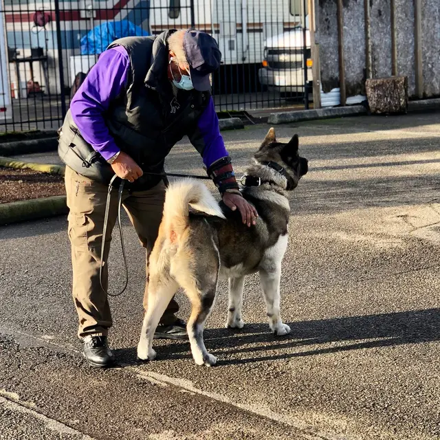 Bob Smith's K9 Association — photo from the business 6