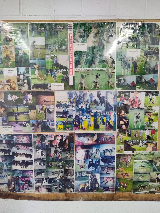 Bob Smith's K9 Association — customer photo 12