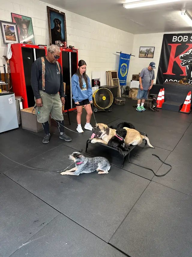 Bob Smith's K9 Association — customer photo 2