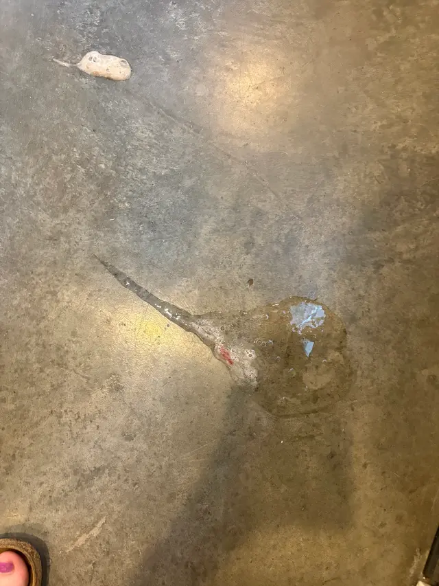 Lead Me On, Inc — customer photo 12