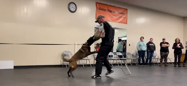 Insight K-9 Solutions LLC — photo from the business 6