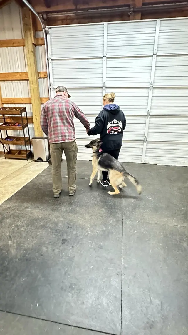 Insight K-9 Solutions LLC — customer photo 3