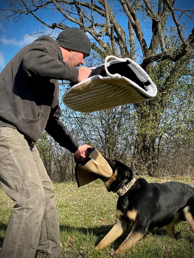 Insight K-9 Solutions LLC — photo from the business 4