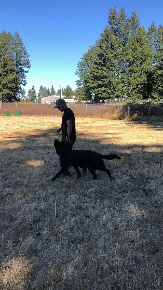 Insight K-9 Solutions LLC — customer photo 10