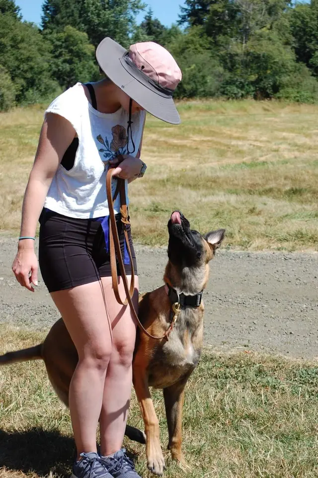 Insight K-9 Solutions LLC — photo from the business 8