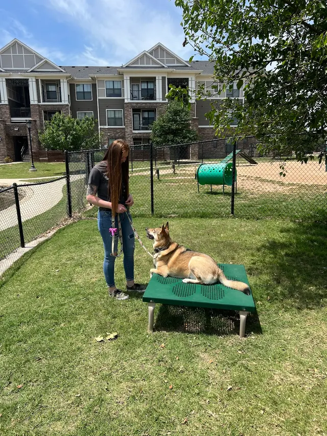 BOMBSHELL K9 Training & Boarding — photo from the business 10