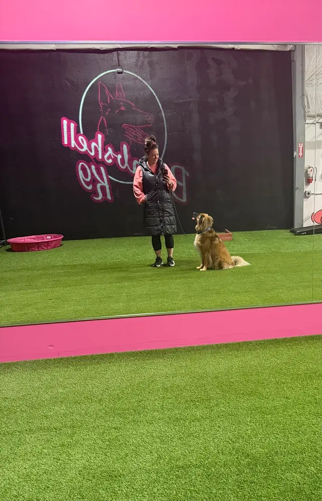 BOMBSHELL K9 Training & Boarding — customer photo 2