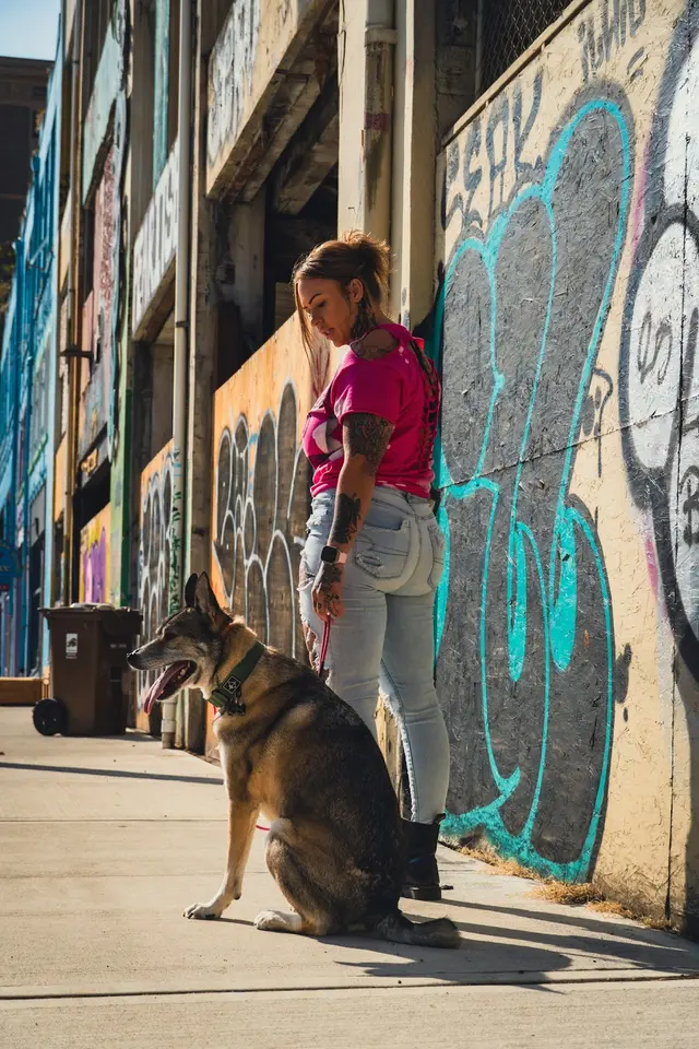 BOMBSHELL K9 Training & Boarding — photo from the business 9