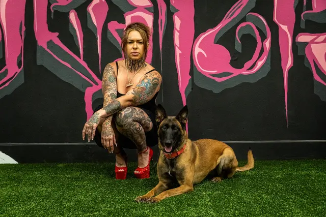 BOMBSHELL K9 Training & Boarding — photo from the business 1