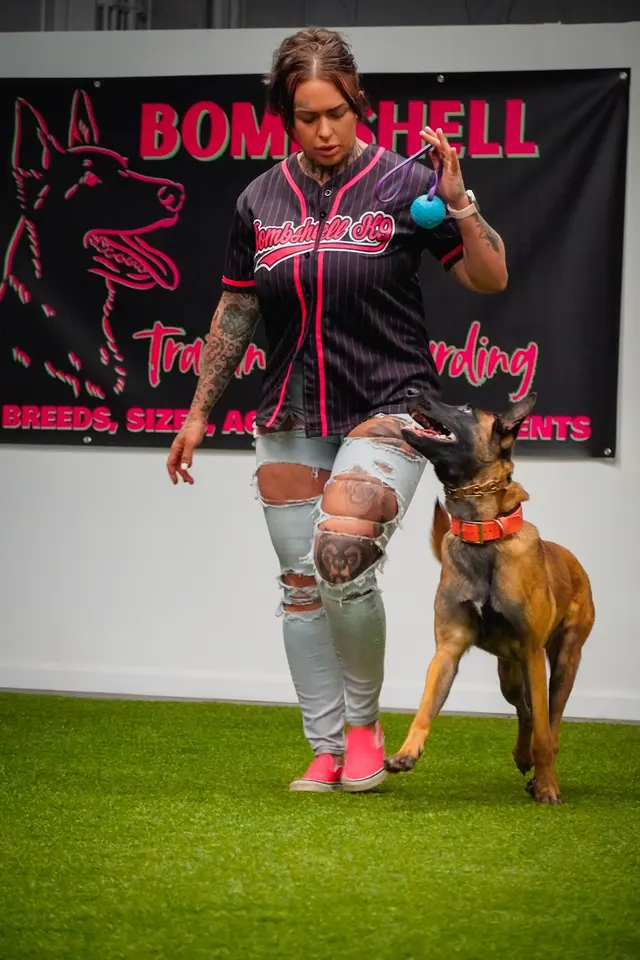 BOMBSHELL K9 Training & Boarding — photo from the business 5